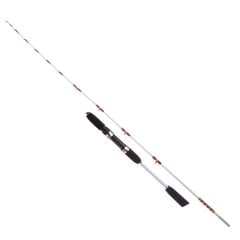 Albastar Squiddy Olta Kamışı 50-100gr Atarlı 160cm