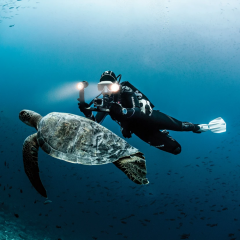 Scubapro Frameles Dalış Maskesi Beyaz