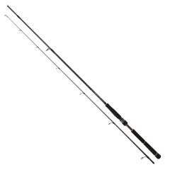 Daiwa New Bg Seabass 2.44m, 14-42gr 2p Spin Olta Kamışı