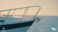 Denıssea Hammerhead Çıpa Galvaniz