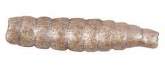 Berkley Powerbait Honey Worms Sahte Kurt