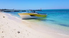 Mercan Parasailing 36 Paraşüt Teknesi